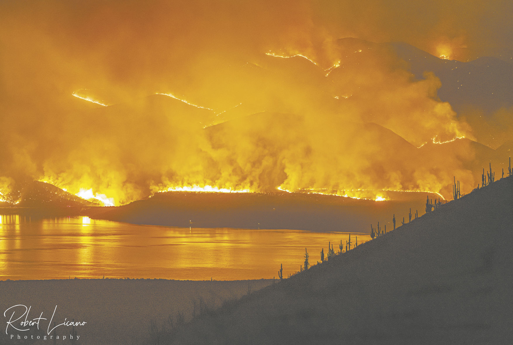 Bush Fire photo